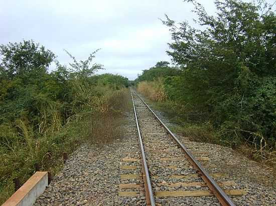 CACUL-BA-FERROVIA NORDESTINA-FOTO:RAFAEL JOS RORATO - CACUL - BA