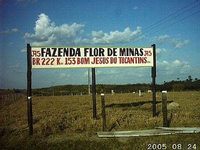 FAZENDA FLOR DE MINAS-FOTO:MARCO ANTUNES  - BOM JESUS DO TOCANTINS - PA