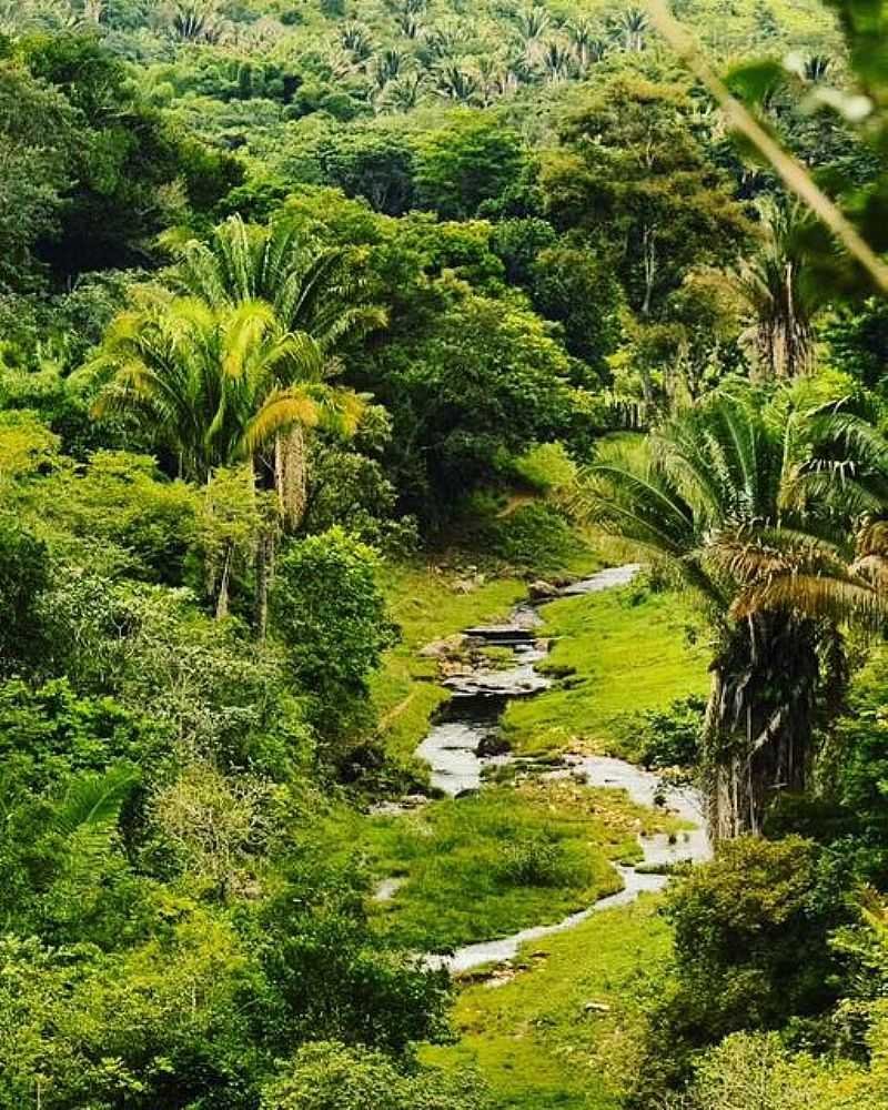 IMAGEM DA CIDADE DE CM-BA - CAM - BA
