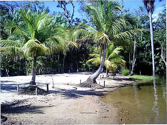 PRAIA DO ROQUE-ARIPIJ, POR FATIMA - CAMET - PA