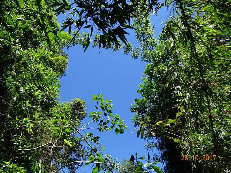 IMAGEM DA CIDADE DE CAET-AU -  - CAET-AU - BA