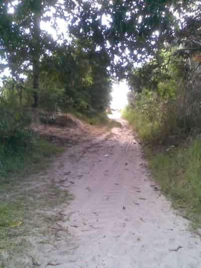 A ANTIGA ESTRADA, POR DAILSON MELO - CARAPAJ - PA