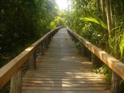 PONTE DO IGARAPE, POR DAILSON MELO - CARAPAJ - PA