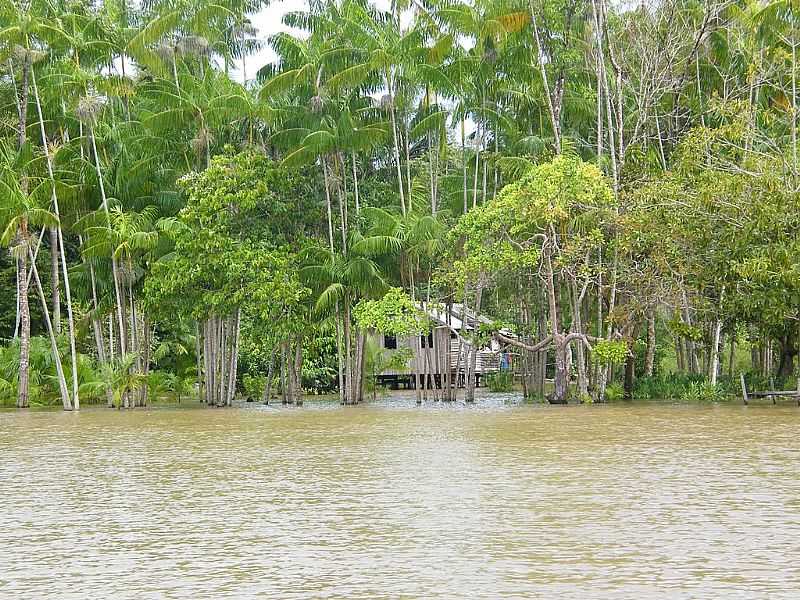 CHAVES-PA-CASA RIBEIRINHA E A CHEIA DO RIO COATA-FOTO:JOS AMIRALDO RABELO - CHAVES - PA