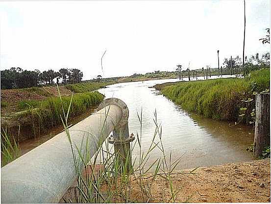 CONCRDIA DO PAR-PA-CAPTAO DE GUA PARA IRRIGAO DA PLANTAO DE DEND-FOTO:PEDRO PAULO - CONCRDIA DO PAR - PA