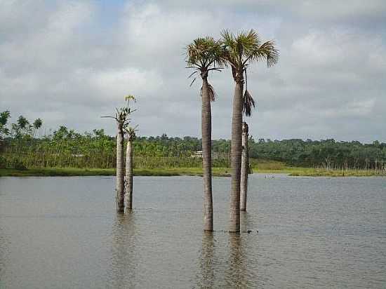 CONCRDIA DO PAR-PA-LAGO ARTIFICIAL RESERVATRIO-FOTO:PEDRO PAULO - CONCRDIA DO PAR - PA