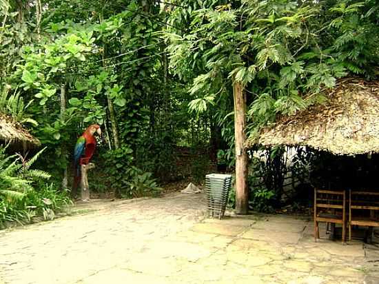 PARQUE DOS IGARAPS EM COQUEIRO-PA-FOTO:AURELINO SANTOS JR - COQUEIRO - PA