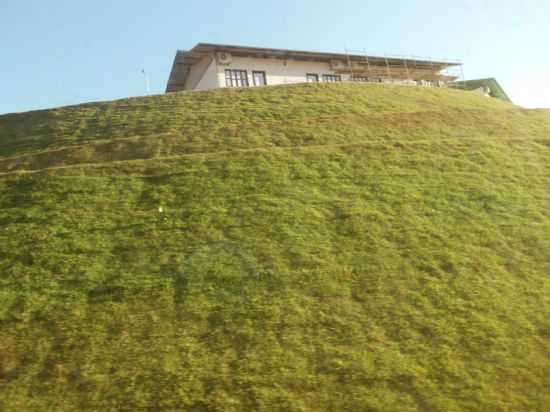 SERRA PELADA, POR JOSE FRANCISCO GONALVES - CURIONPOLIS - PA