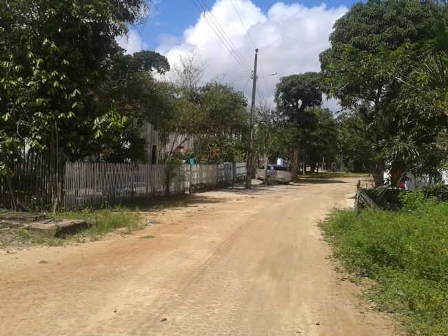 CHEGANDO EM TAUAJ DISTRITO DE CURUAMBABA. FOTO HAMILTON COSTA, POR HAMILTON COSTA - CURUAMBABA - PA