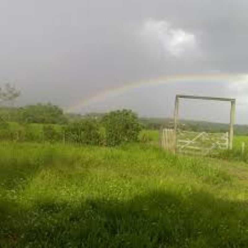 IMAGENS DA LOCALIDADE DE EMBORA DISTRITO DE AUGUSTO CORREA-PA - EMBORA - PA