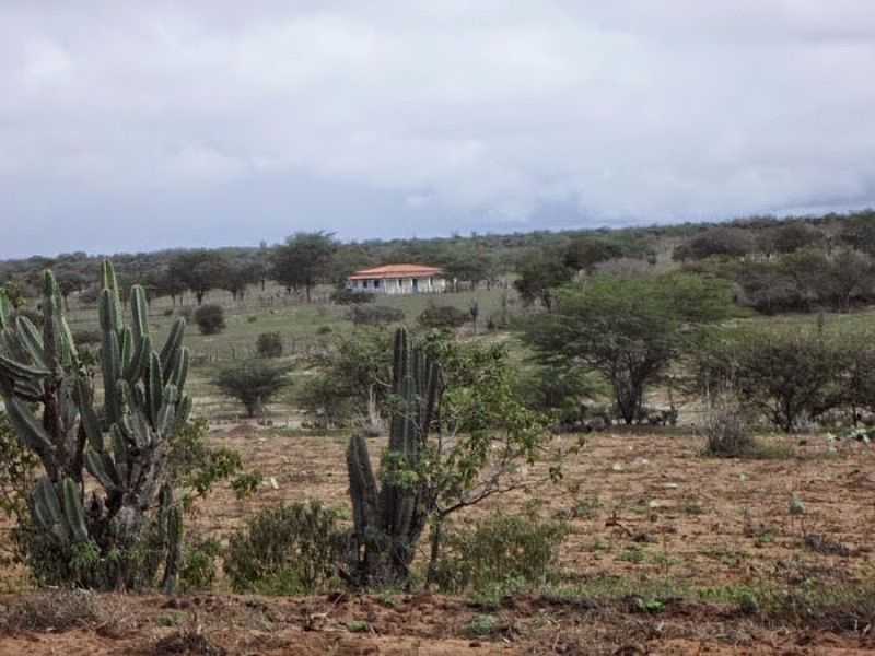 CAIARA-BA-REA RURAL DO POVOADO-FOTO:IBA MENDES - CAIARA - BA