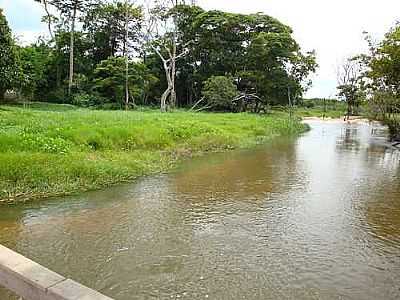 RIO IPIXUNA, MATA CILIAR (MARGEM DIREITA) PO LAUDJB - IPIXUNA DO PAR - PA