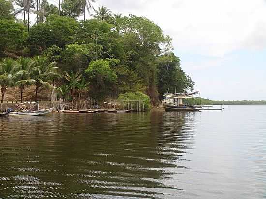 CAIRU-BA-ENCOSTA DE TORRINHAS-FOTO:MARCELO S F - CAIRU - BA