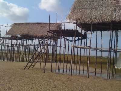 PALAFITAS DE PESCADOR COM A MAR BAIXA NA BAA DE JAPERICA , POR MARA - JAPERICA - PA