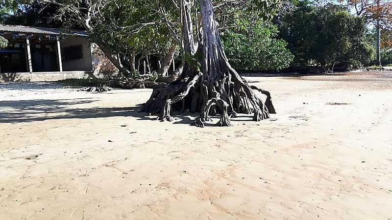 IMAGENS DA VILA DE JUABA EM CAMET-PA - JUAB - PA