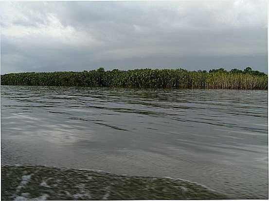 VISTA FRONTAL DA ILHA AMOROSA-LIMOEIRO DO AJURU-PAR, POR BENEDITO EDNO RODRIGUES - LIMOEIRO DO AJURU - PA