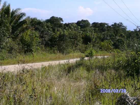 BR-422 LIMOEIRO DO AJURU, POR BENEDITO EDNO RODRIGUES - LIMOEIRO DO AJURU - PA