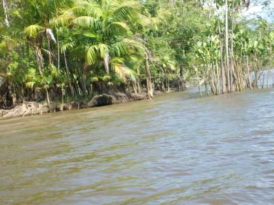 , POR WALLACE - LIMOEIRO DO AJURU - PA