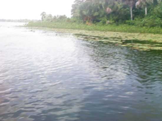 RIO CUPIJO, POR MAX BARBOSA - LIMOEIRO DO AJURU - PA