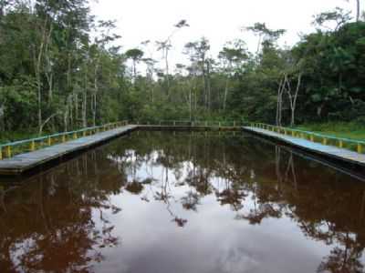 IGARAPE SANTO ANTONIO, POR REGI - MAGALHES BARATA - PA