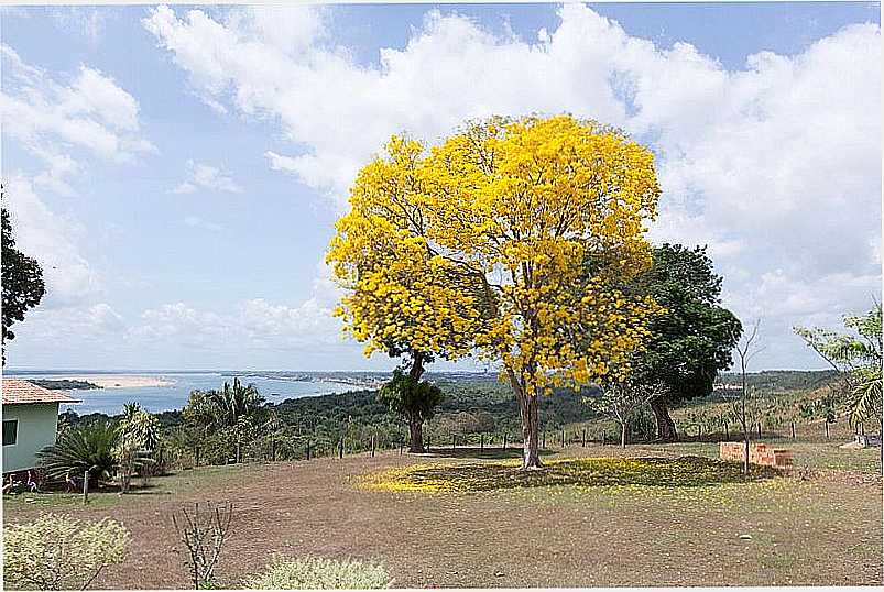 IMAGENS DA CIDADE DE MARAB - PA - MARAB - PA