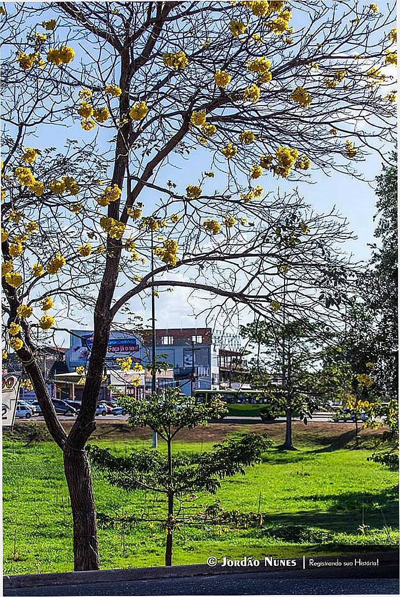 IMAGENS DA CIDADE DE MARAB - PA - MARAB - PA