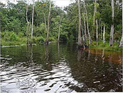 IGARAP DO MATOGROSSO, POR CONCEIO MIRANDA - MATAPIQUARA - PA