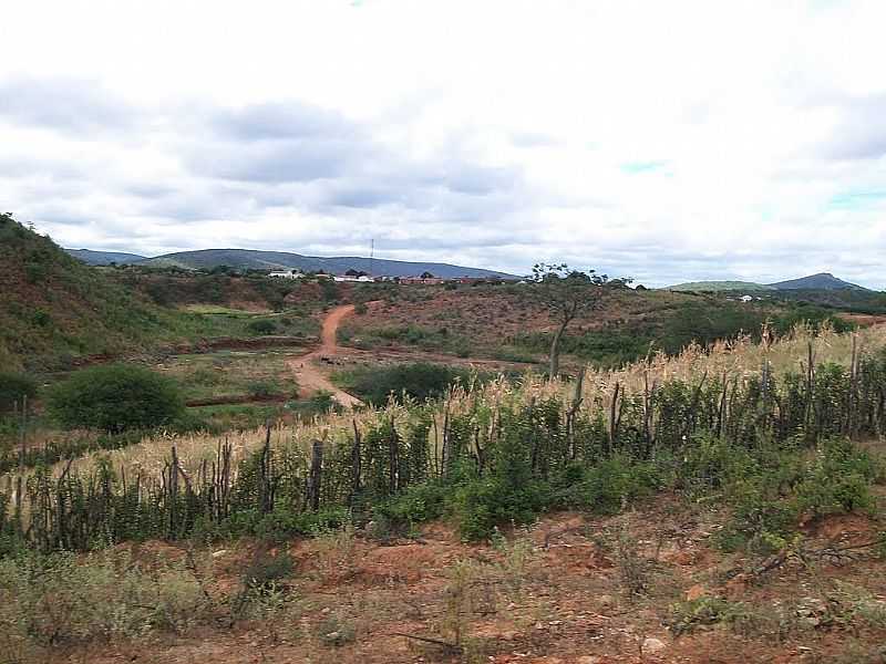 CALDEIRO-BA-VISTA DA CIDADE-FOTO:NANDIMDOACORDEON - CALDEIRO - BA