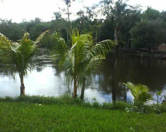VILA DE AREIO, POR SAMRA DA SILVA - MOCAJUBA - PA