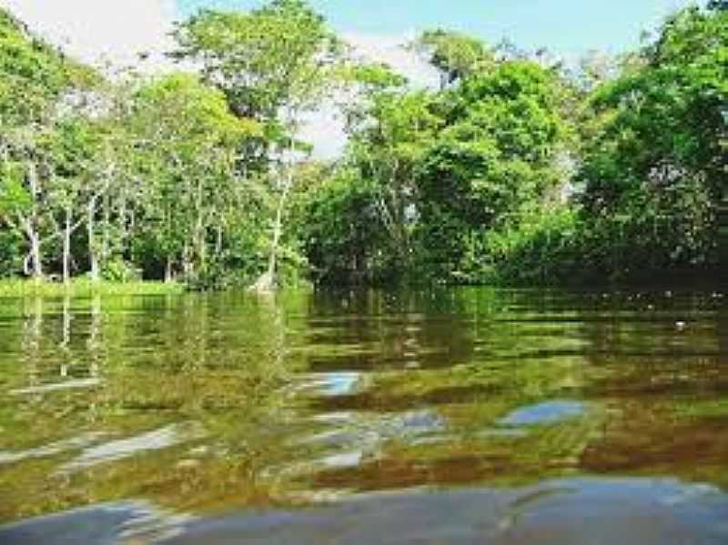 IMAGENS DA VILA DE MONTE ALEGRE DO MAU EM MARAPANIM-PA - MONTE ALEGRE DO MAU - PA