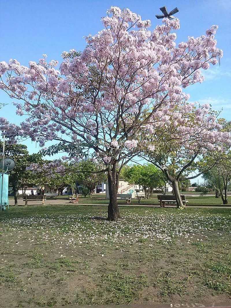 IMAGEM DA CIDADE DE MORADA NOVA - PA - MORADA NOVA - PA