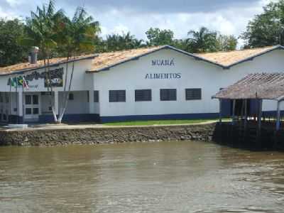 FABRICA DE PALMITO DE MUAN-ITA, POR EDIMILSON-ELIANA E FELIPE - MUAN - PA