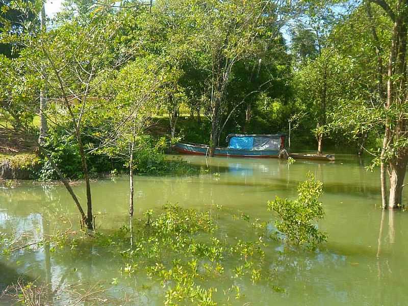 IMAGENS DA LOCALIDADE DE NAZAR DE MOCAJUBA NO MUNICPIO DE CURUA-PA - NAZAR DE MOCAJUBA - PA