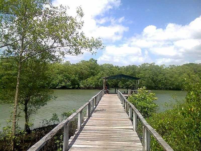 IMAGENS DA LOCALIDADE DE NAZAR DE MOCAJUBA NO MUNICPIO DE CURUA-PA - NAZAR DE MOCAJUBA - PA