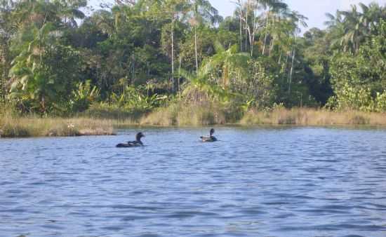 BALNERIO DO KM 06, POR EDILSON - NOVA TIMBOTEUA - PA