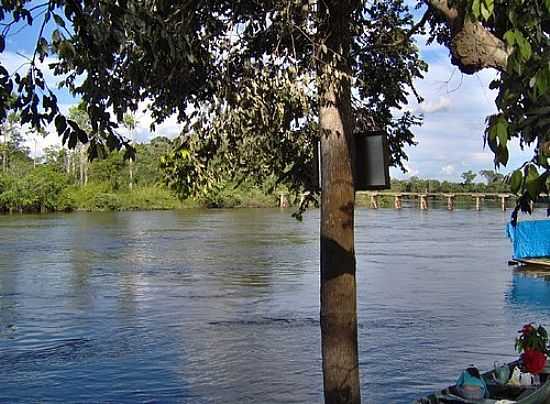 CASTANHEIRA S MARGENS DO RIO JAMANXIM EM NOVO PROGRESSO-FOTO:CICLO MANIA NOVO PRO - NOVO PROGRESSO - PA