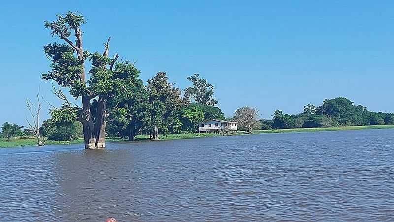 IMAGENS DA CIDADE DE BIDOS - PA - BIDOS - PA