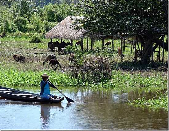 RIO TROMBETAS - ORIXIMIN - PA