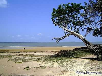 PRAIA DO AMOR-FOTO:MARA HERMES  - OUTEIRO - PA