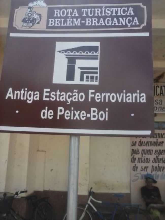 POR JOS CARLOS RODRIGUES DE MENDONA - PEIXE-BOI - PA