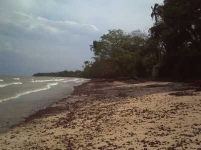 PRAIA GRANDE, POR ADRIANA OLIVEIRA - PONTA DE PEDRAS - PA