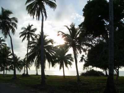 SOL POR ENTRE AS ARVORES EM MANGABEIRA - PONTA DE PEDRAS - PA, POR MARCELLO TAVARES DA SILVA - PONTA DE PEDRAS - PA