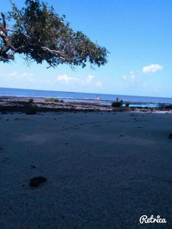 FINAL DE TARDE EM MANGABEIRA, POR SILZA RODRIGUES - PONTA DE PEDRAS - PA