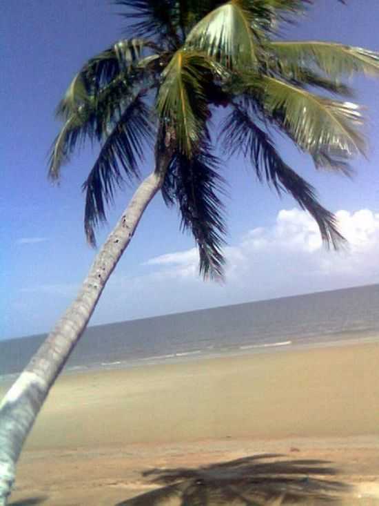COQUEIRO-PRAIA DE MANGABEIRA- PONTA DE PEDRAS-MARAJO, POR DENIR DI ABREU - PONTA DE PEDRAS - PA