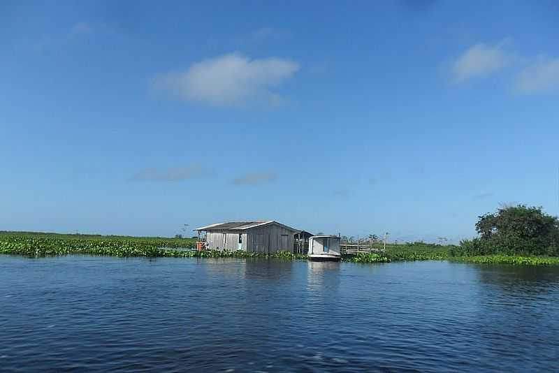PORTO DE MOZ-PA-CASA RIBEIRINHA-FOTO:JUNIOR ALVAREZ - PORTO DE MOZ - PA