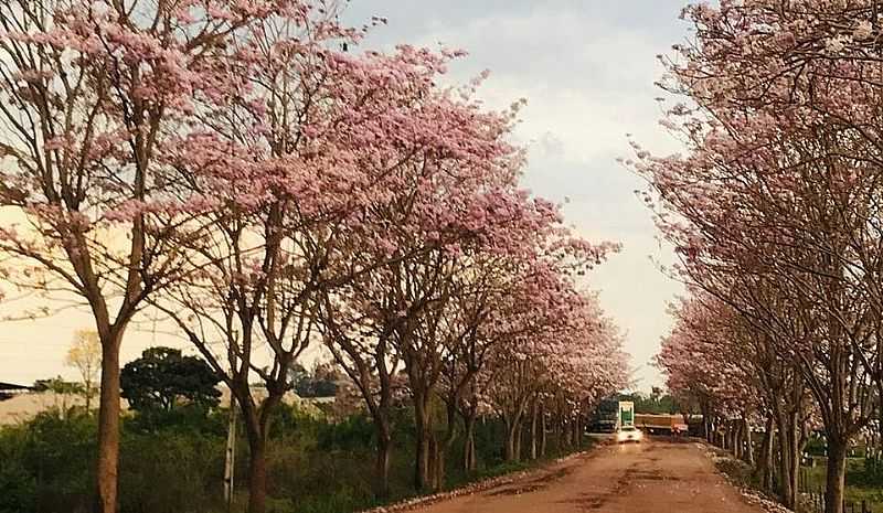 IMAGEM DA CIDADE DE RIO VERMELHO-PA - RIO VERMELHO - PA