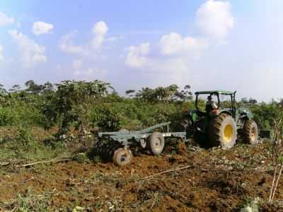 AGRICULTURA FAMILIAR DE RONDON GANHA NOVO ESPAO, POR CESAR ROBERTO MENDES - RONDON DO PAR - PA