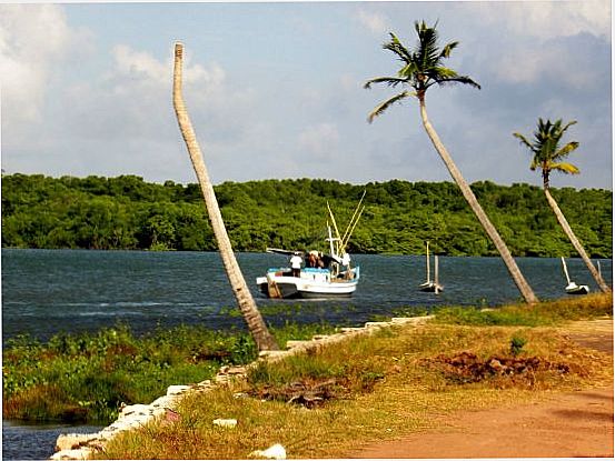 RIO DESTACADO, POR JORGE ARTUR AMARAL - SALINPOLIS - PA