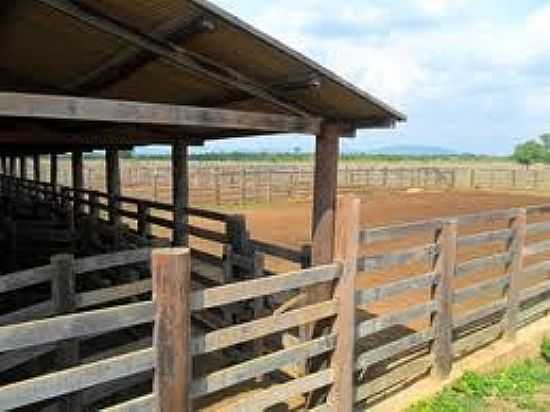 FAZENDA EM SANTA MARIA DAS BARREIRAS-FOTO:URBANOSEFAZENDAS. - SANTA MARIA DAS BARREIRAS - PA