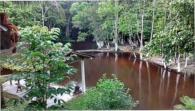 BALNERIO TONY RAMOS,  O AMBIENTE MAIS PARADISACO SANTA MARIA DO PAR, BR 316 KM 98 RAMAL DA PITUTA., POR HUMBERTO GARCIA - SANTA MARIA DO PAR - PA